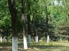 -青龙湖公园