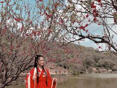 -南国桃园旅游度假区