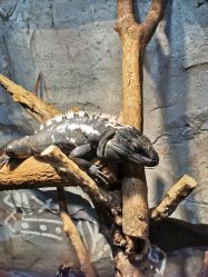 -Zoolung Zoolung动物主题公园(海信广场店)