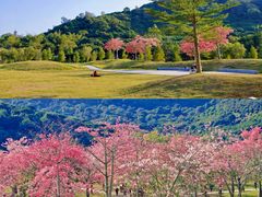 -风云岭森林公园