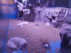 -石家庄海洋公园