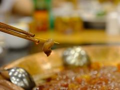-老码头火锅(玉林店)