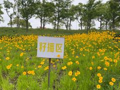 -春花秋色城市公园