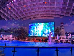 -海合安武汉极地海洋公园