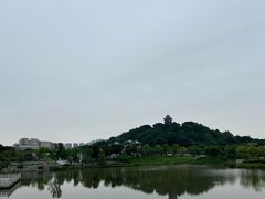 -王借岗森林公园