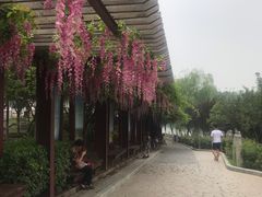 -西安汉城湖景区