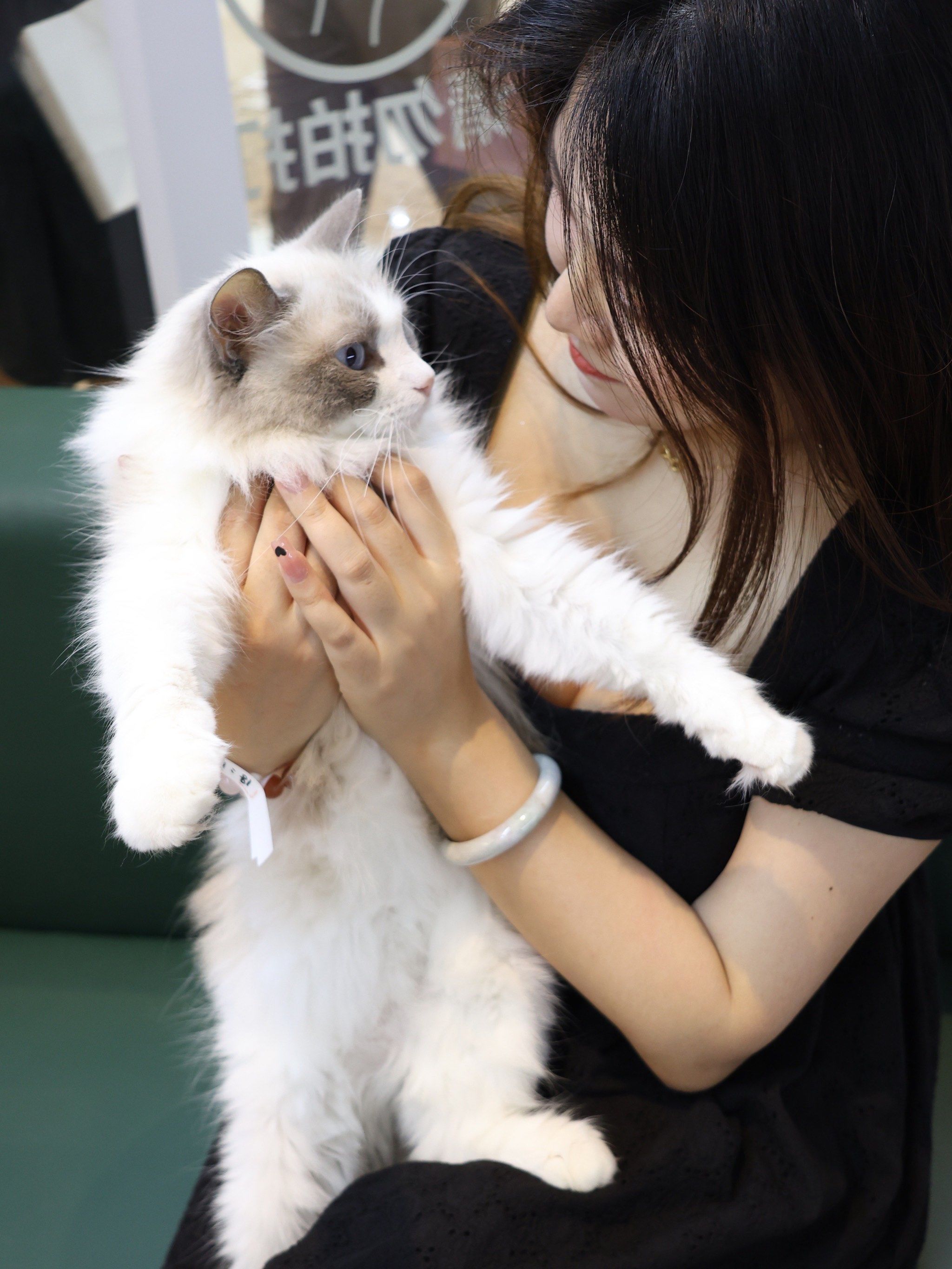 n怎么会有这么可爱的小猫🐈
拥有几十只小猫,布偶/三花/缅因/英