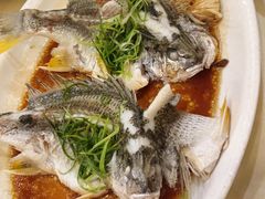 -益利大酒楼(井岸店)