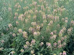 -中国天府农业博览园