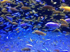 -成都浩海立方海洋公园