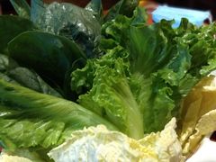 蔬菜拼盘-草原牧羊火锅·龙虾·烤鱼(杨浦店)
