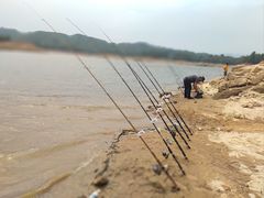 -凯邦亚湖风景区