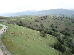 -中华福寿山