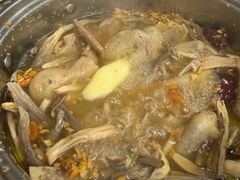 -百利鸽王(紫薇路店)