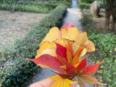 -白马涧龙池景区