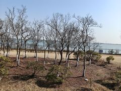 -江滩湿地公园