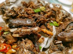 -北京老铺烤鸭(高新店)