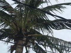 -真浪花园海鲜餐馆