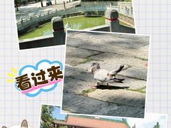 -宝通禅寺