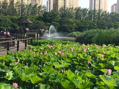景点-前关湿地公园