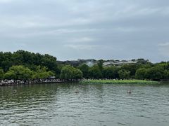 -西湖游船