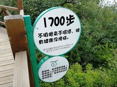 -大岭沟猕猴桃谷风景区