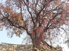 -于家石头村景区