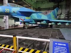 -泰达航母主题公园