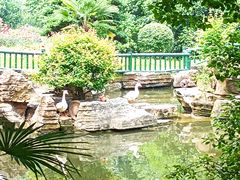 -东湖落雁景区