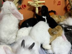 -三旗百汇商品城