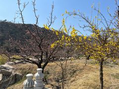 -威海华夏城景区