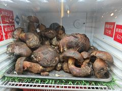 -太婆天府山珍酒楼(亚运村店)