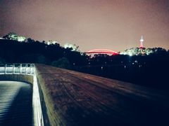 -金鸡山公园
