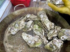 -蚝得喜海鲜(东城店)
