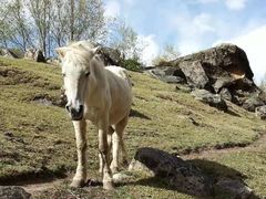 -金逸影城(中关村店)
