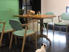 -猫色咖啡·猫咖
