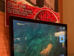 -巴奴毛肚火锅(七宝领展广场店)