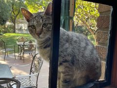 -马勒别墅·中餐厅