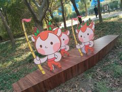 -溱湖国家湿地公园