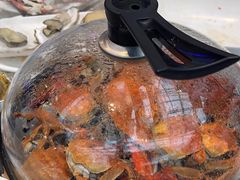 -半岛听涛蒸汽海鲜自助(K11店)