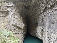 -鹿院坪生态旅游景区