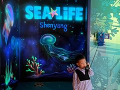 -沈阳海洋探索中心