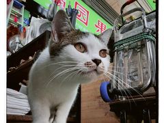 -滘口(地铁站)