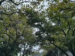 -浙江省博物馆(孤山馆区)