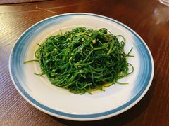 沙漠野沙葱-蒙古大营(朝阳公园店)
