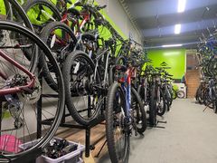 -道路口单车爱瓦士dahon大行