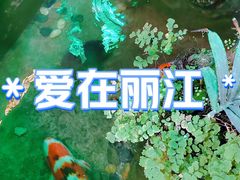 -丽江庭院之爱在路上(西单店)