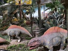 -湖南省地质博物馆