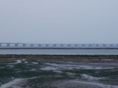 -龙舟池
