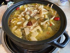 -蘑统田下·野生菌火锅